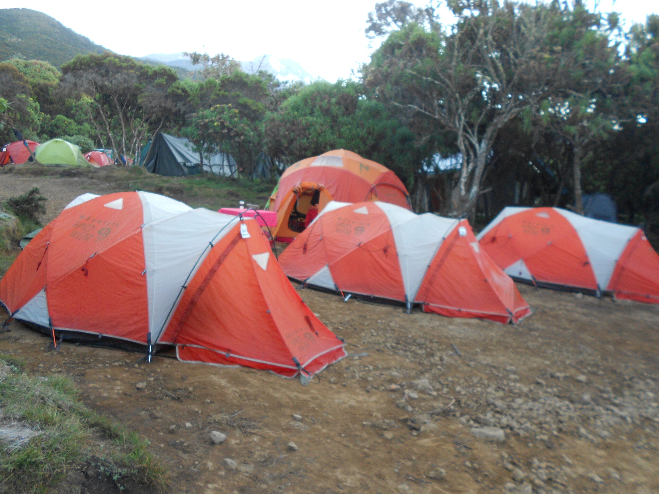 Hikers trekking through moorland on Mount Kilimanjaro Marangu Route