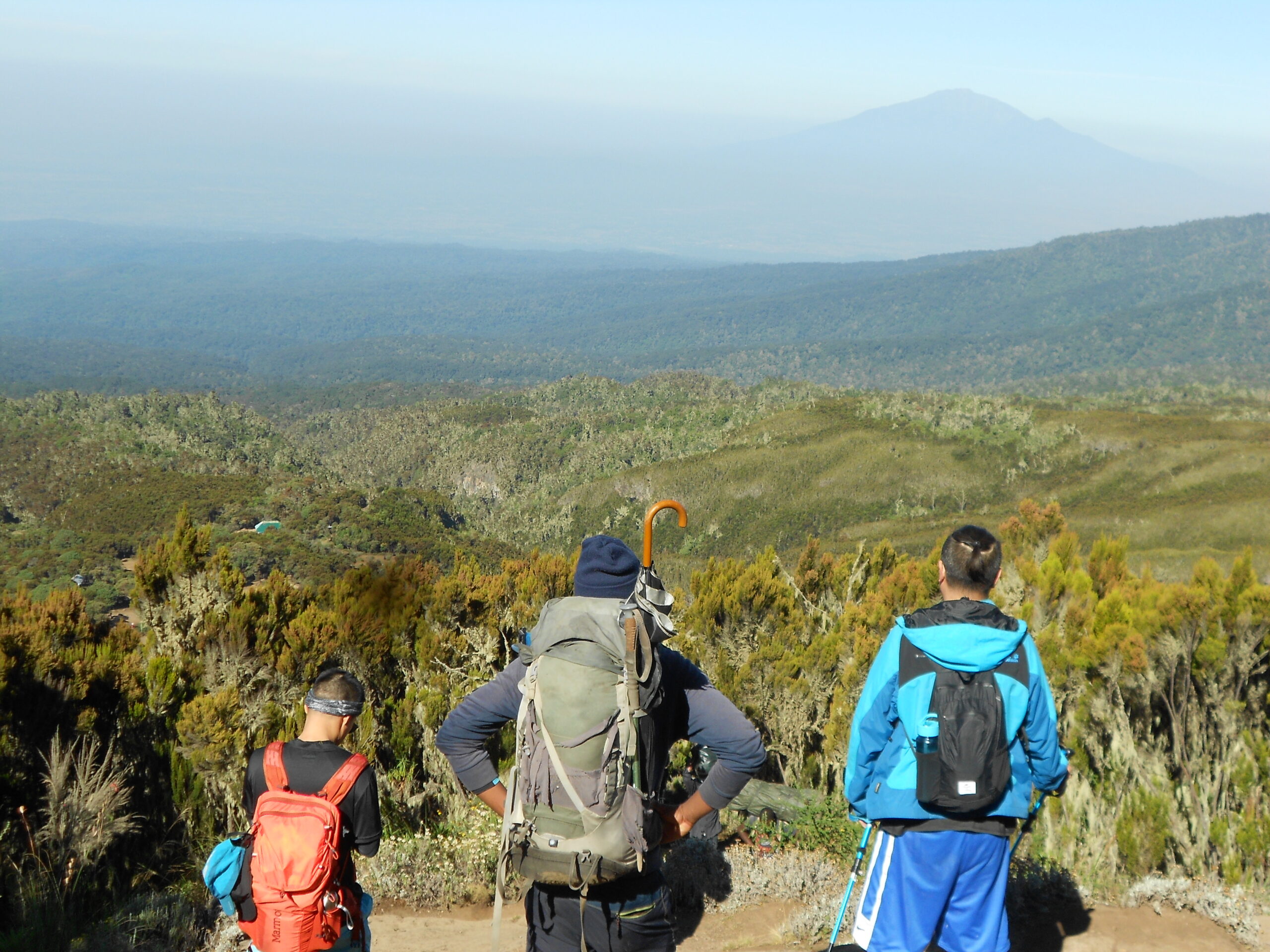 Moorland landscape on Mount Kilimanjaro Machame Route near Shira Plateau