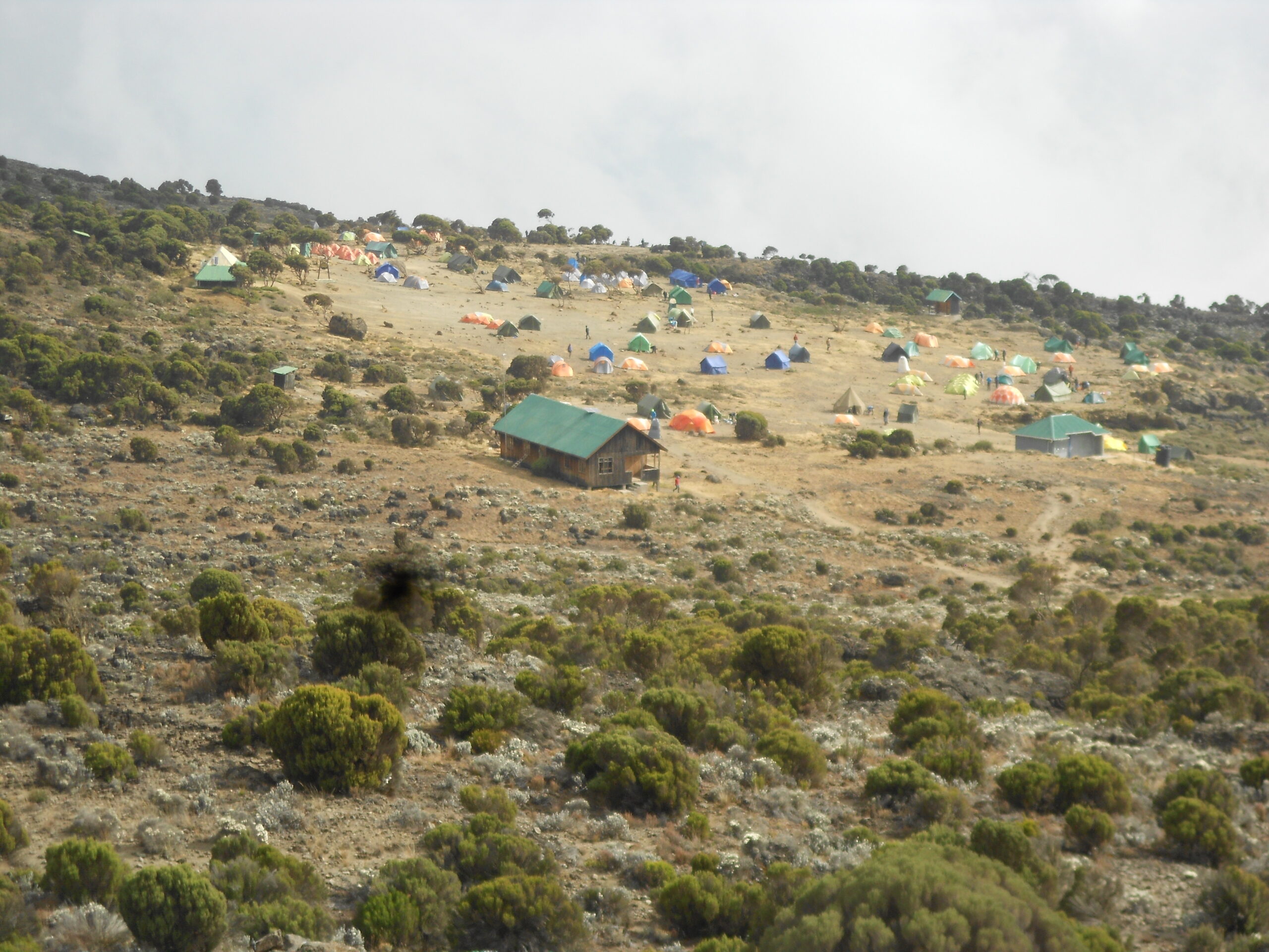 Scenic landscape on Mount Kilimanjaro Lemosho Route with open terrain and distant peaks