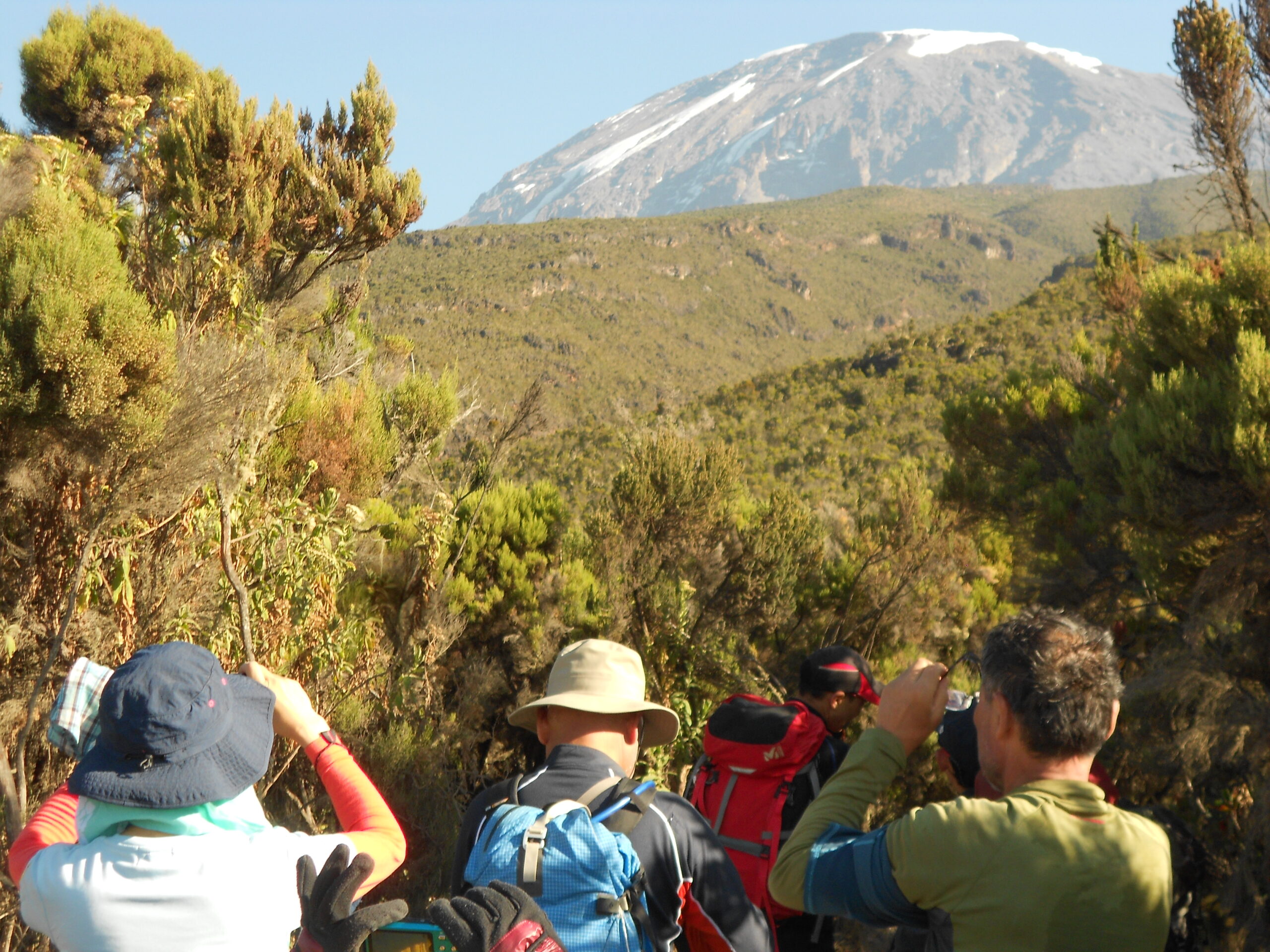 Climbers hiking on Mount Kilimanjaro trail with high altitude landscape
